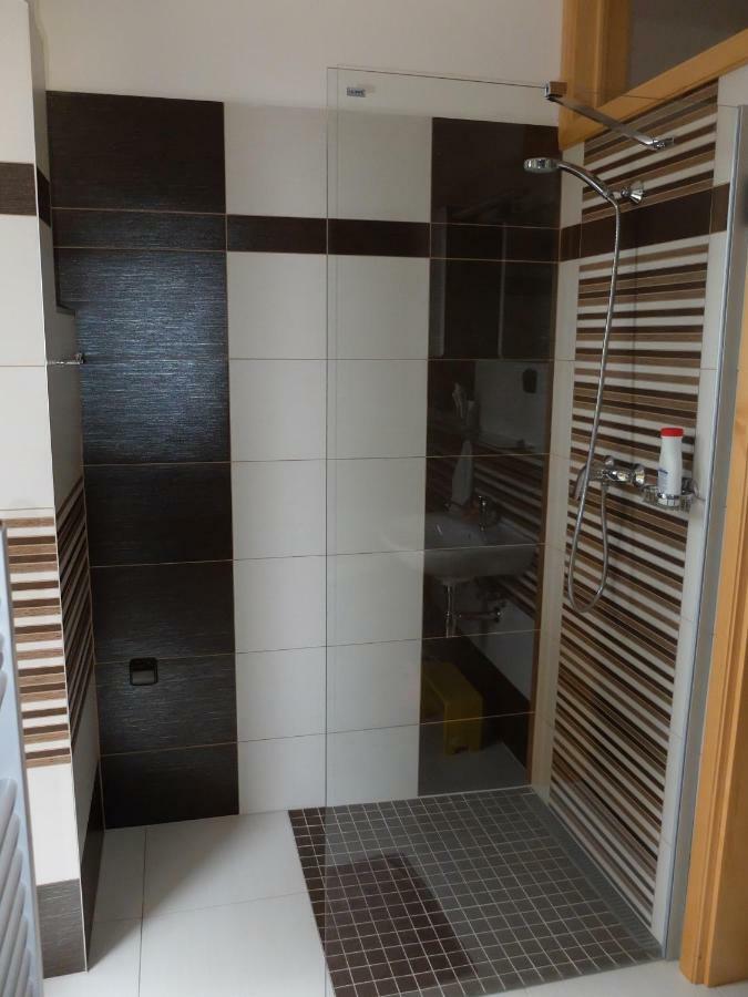 Apartment Třeboň 외부 사진